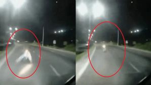 Người đàn ông đi xe máy ngược chiều trên quốc lộ 1A: Lao như bay vào xe tải, tử vong tại chỗ