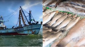 Giá xăng dầu tăng vọt lên hơn 30.000 đồng/lít, 1 quốc gia gần Việt Nam cảnh báo 70% tàu cá dừng hoạt động