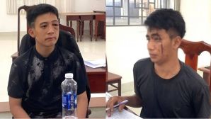 Lời khai của 2 thanh niên say xỉn không biết lái xe vẫn trộm ô tô, gây tai nạn rồi leo cây dừa trốn