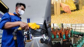 Điểm tin giá cả ngày 16/4: Giá xăng RON95, RON 92 điều chỉnh, giá vàng SJC lao dốc, giá gas xuất hiện chênh lệch