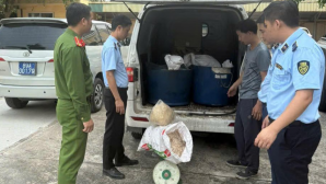 Hưng Yên: Phát hiện xe tải chở hơn 4 tạ mỡ, bì lợn ôi thiu chuẩn bị tuồn ra thị trường