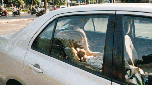 Phân tích dưới góc độ trách nhiệm hình sự vụ bố bỏ quên con 2 tuổi trên ô tô hơn 5 tiếng gây tử vong