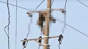 Hiện trường nam sinh lớp 9 trèo cột điện bắt chim, điện giật tử vong: Hoàn cảnh gia đình xót xa 