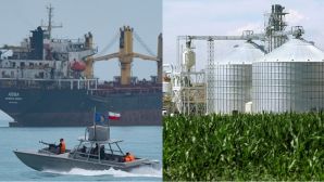 Giá xăng dầu đắt đỏ, châu Á chuyển sang dùng loại nhiên liệu khác thay thế, Việt Nam đã có 6 nhà máy lớn