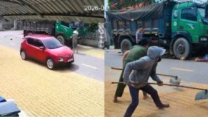 Vụ tai nạn khiến 2 mẹ con tử vong ở Hà Tĩnh: Người phơi thóc có bị truy cứu trách nhiệm?