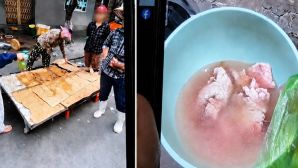 Đi mua thịt bò về nấu, người đàn ông phát hiện 'thịt lợn giả bò' khiến ai hay đi chợ cũng phải cảnh giác