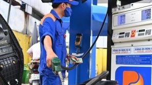 Giá xăng dầu chiều 19/5: Xăng RON 95 ‘bán như biếu’, dầu diesel ‘trượt dài’ gần 18.000 đồng/lít, giá lăn bánh Honda City