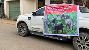Xử phạt người em trai làm băng rôn, phát loa bêu riếu anh khắp làng, nạn nhân kể lại nguồn cơn