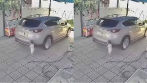 Trích xuất camera vụ bé 15 tháng tuổi bị ô tô lùi cán tử vong ở Đồng Nai, công an chính thức vào cuộc