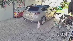 Vụ bé gái 15 tháng tuổi bị ô tô lùi cán trúng: Lý do cảm biến lùi của Mazda CX8 không cứu được bé
