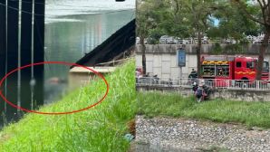 Hiện trường phát hiện thi thể người đàn ông trên sông Tô Lịch, Hà Nội: Làm rõ danh tính?