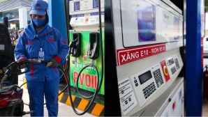 Xuất hiện thông tin xăng E10 hao nhiên liệu hơn xăng khoáng RON 95, chuyên gia lên tiếng