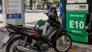 Xe máy Honda Wave, Vision đời nào nên chú ý hơn khi dùng xăng E10? Không phải cứ xe cũ là gặp rủi ro