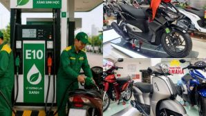 Honda, Yamaha lên tiếng về xăng E10: Hàng triệu chủ xe máy cần biết điều này