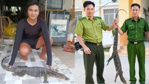 Tây Ninh: Phát hiện loài vật quý hiếm nặng 6,5kg xuất hiện sau nhà dân, toàn thân có ‘ký tự đặc biệt’