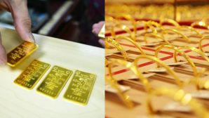 Giá vàng hôm nay 19/6: Vàng miếng SJC, nhẫn trơn, nữ trang 24K, 18K cắm đầu giảm mạnh, cơ hội bắt đáy hay ‘cái bẫy’ mới?
