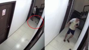 Hải Phòng: Động thái của nam thanh niên đá chết chú chó rồi bỏ vào thùng rác chung cư, gia đình bức xúc 