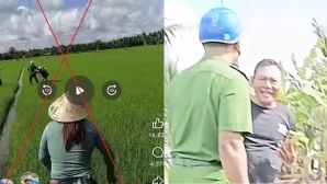 Công an tỉnh Vĩnh Long thông tin vụ 3 anh em ruột tấn công, phun thuốc diệt cỏ vào lực lượng công an