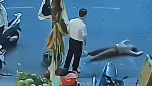 Diễn biến mới vụ gã đàn ông xô người phụ nữ ngã bất tỉnh phải cấp cứu: Cả hai không hề quen biết