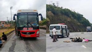 Tìm thấy nhiều món đồ khả nghi vụ 2 người và 7 con chó tử vong sau va chạm với xe khách ở Hà Tĩnh