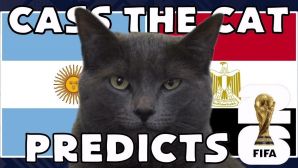 Dự đoán kết quả Argentina vs Ai Cập - World Cup 2026: Mèo tiên tri khiến Messi mừng thầm