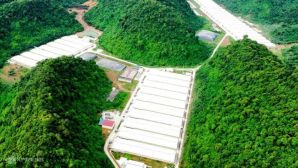Công bố nguyên nhân 3 người tử vong, 4 người bị thương trong trang trại nuôi lợn ở Thanh Hóa