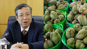Thứ trưởng cùng loạt cán bộ bị bắt, góc khuất trong cấp mã số vùng trồng sầu riêng được hé mở