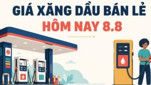 Cập nhật giá xăng dầu hôm nay 8/8 (chiều 8/8): 2 loại dầu lao dốc? xăng E5 và xăng E10 bao nhiêu?