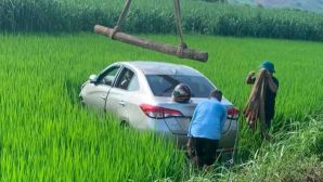 Tài xế ở Nghệ An tử vong sau khi ô tô lao xuống ruộng, hé lộ diễn biến bất thường trước đó