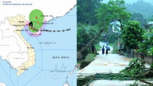 Tin bão mới nhất: Bão số 4 gây mưa lớn, hàng nghìn hộ dân sơ tán, nhiều sông vượt báo động 3