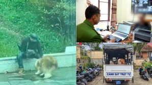 Người đàn ông đánh, lấy gậy chọc chó cảnh ở Quảng trường Lâm Viên giải thích lý do