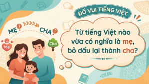Từ tiếng Việt nào có nghĩa là mẹ, bỏ dấu lại thành cha? Chỉ số ít nghĩ ra đáp án trong 5 giây