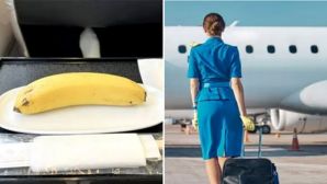 Lý do các tiếp viên hàng không thường mang một quả chuối khi đi bay, hành lý của họ có gì?