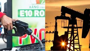 Giá xăng dầu hôm nay 28/9: Tăng trở lại, xăng sinh học E10, E5, dầu Diesel biến động như thế nào?