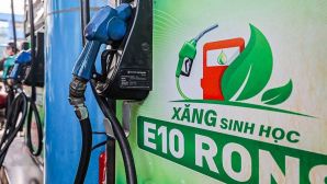Giá xăng dầu ngày mai 15/10: Xăng sinh học E10, E5 giảm ‘thần tốc’, 1 mặt hàng đi ngược chiều?