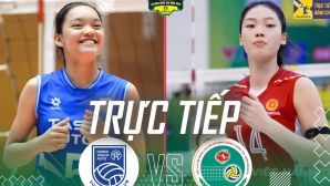 VTV trực tiếp bóng chuyền Hà Nội Tasco Auto vs BC Thông tin BĐ 19 - Link xem trực tiếp bóng chuyền VĐQG 2026
