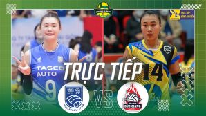 Link xem trực tiếp bóng chuyền nữ Việt Nam hôm nay 15/10 - Trực tiếp Hà Nội Tasco vs HCĐG Lào Cai