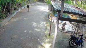 Đã tìm thấy người đàn ông mất tích khi đi leo núi ở Vũng Tàu, rất tiếc không có phép màu nào xảy ra