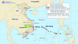 Bão số 5 đã suy yếu thành áp thấp nhiệt đới