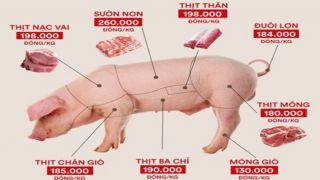 Lý do khiến giá thịt lợn tăng kịch trần, dân tình lo sợ cái Tết với “Bánh Chưng không thịt”