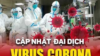 Ca nhiễm nCoV thứ 13 tại Việt Nam
