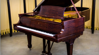 Sức hấp dẫn từ tiếng đàn Piano Grand - Piano Đức Trí