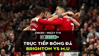 Trực tiếp bóng đá Brighton vs MU [23h30, 7/5]; Trực tiếp Ngoại hạng Anh hôm nay