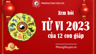 Xem vận trình tử vi năm 2023 của 12 con giáp tốt hay xấu