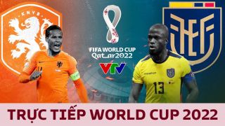 Xem trực tiếp bóng đá Hà Lan vs Ecuador ở đâu, kênh nào? Link xem trực tiếp World Cup hôm nay
