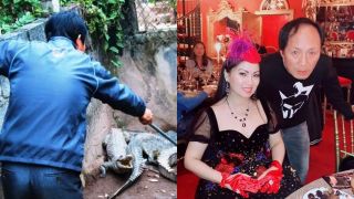 Tin tối 26/5: Ca sĩ Hà Phương vén màn tình trạng hôn nhân; Cụ ông 72 tuổi bị 10 con cá sấu tấn công