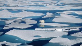 Thảm kịch kinh hoàng nếu toàn bộ sông băng trên Trái Đất tan chảy