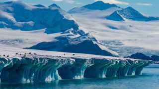 Vùng nước lạnh và mặn nhất thế giới trong tình trạng báo động, hệ sinh thái đại dương gặp nguy