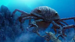Phát hiện bí ẩn về loài bọ cạp biển khổng lồ dài 2 mét ở Úc