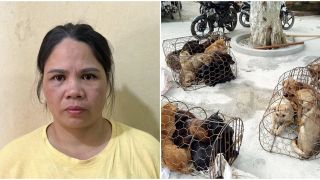 Danh tính 'nữ quái' Thanh Hóa là ‘bà trùm’ đường dây trộm chó, ‘vào tù ra tội’ không biết sợ
